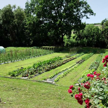 Madonnella Agricola Villa Cesano Esterno foto