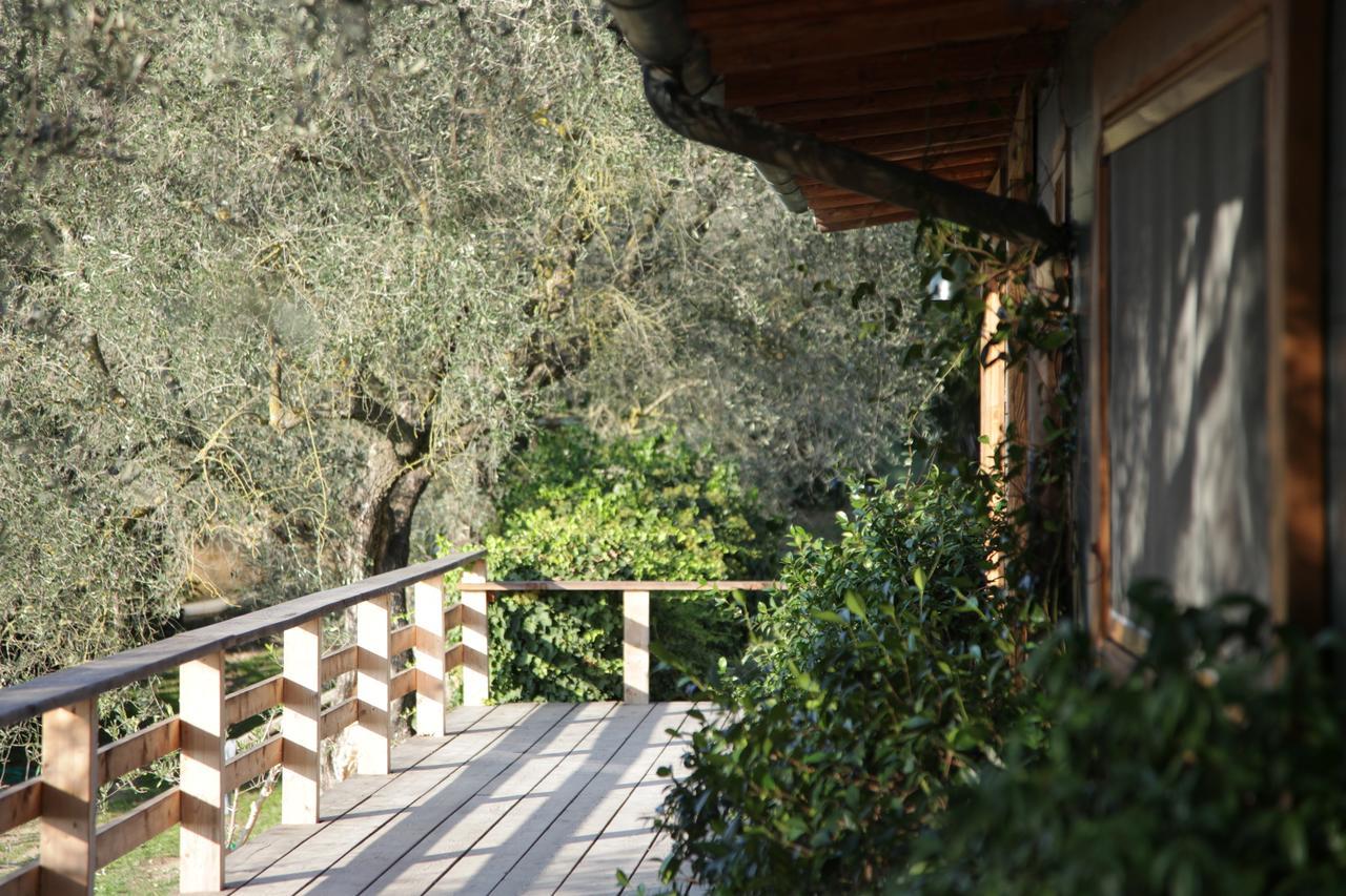 Madonnella Agricola Villa Cesano Esterno foto