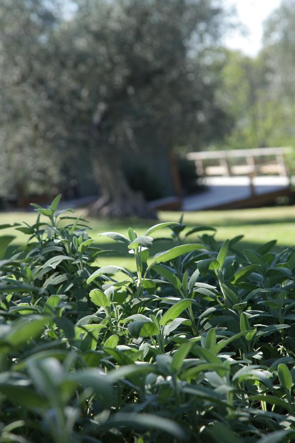 Madonnella Agricola Villa Cesano Esterno foto