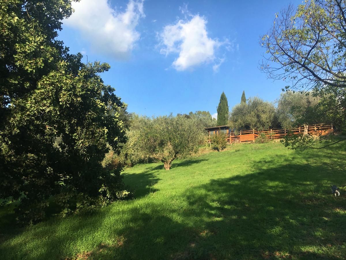 Madonnella Agricola Villa Cesano Esterno foto