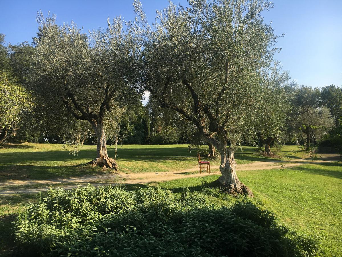 Madonnella Agricola Villa Cesano Esterno foto
