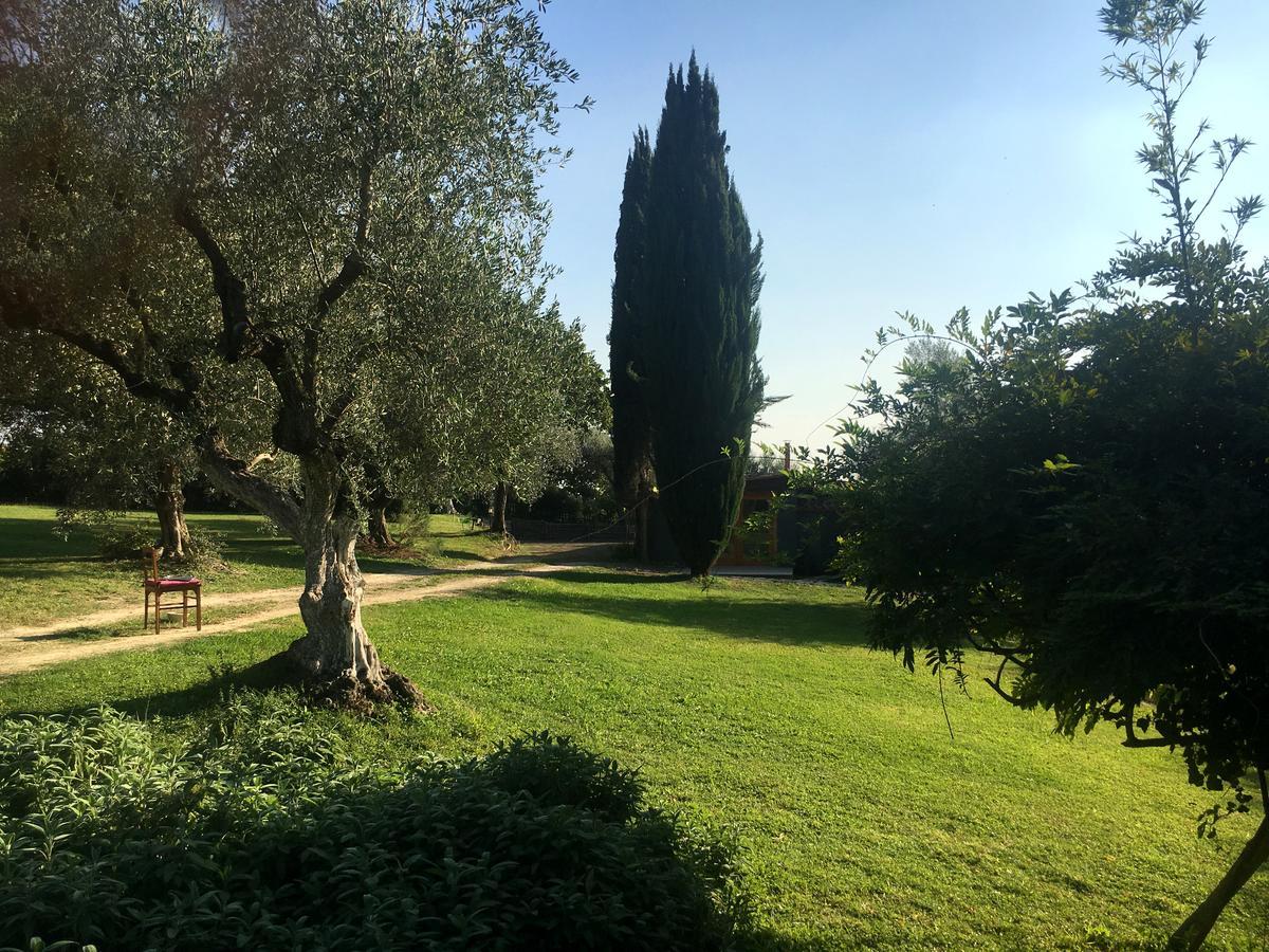 Madonnella Agricola Villa Cesano Esterno foto