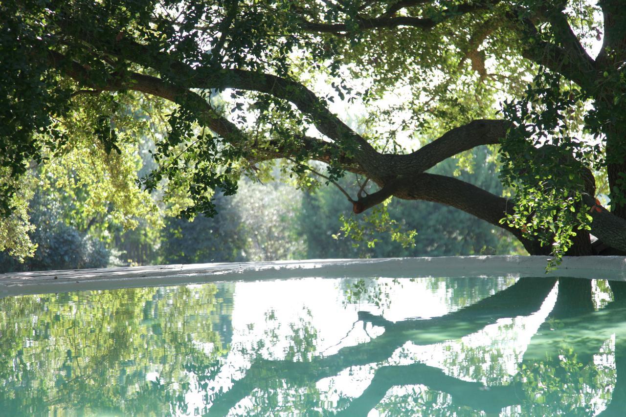 Madonnella Agricola Villa Cesano Esterno foto
