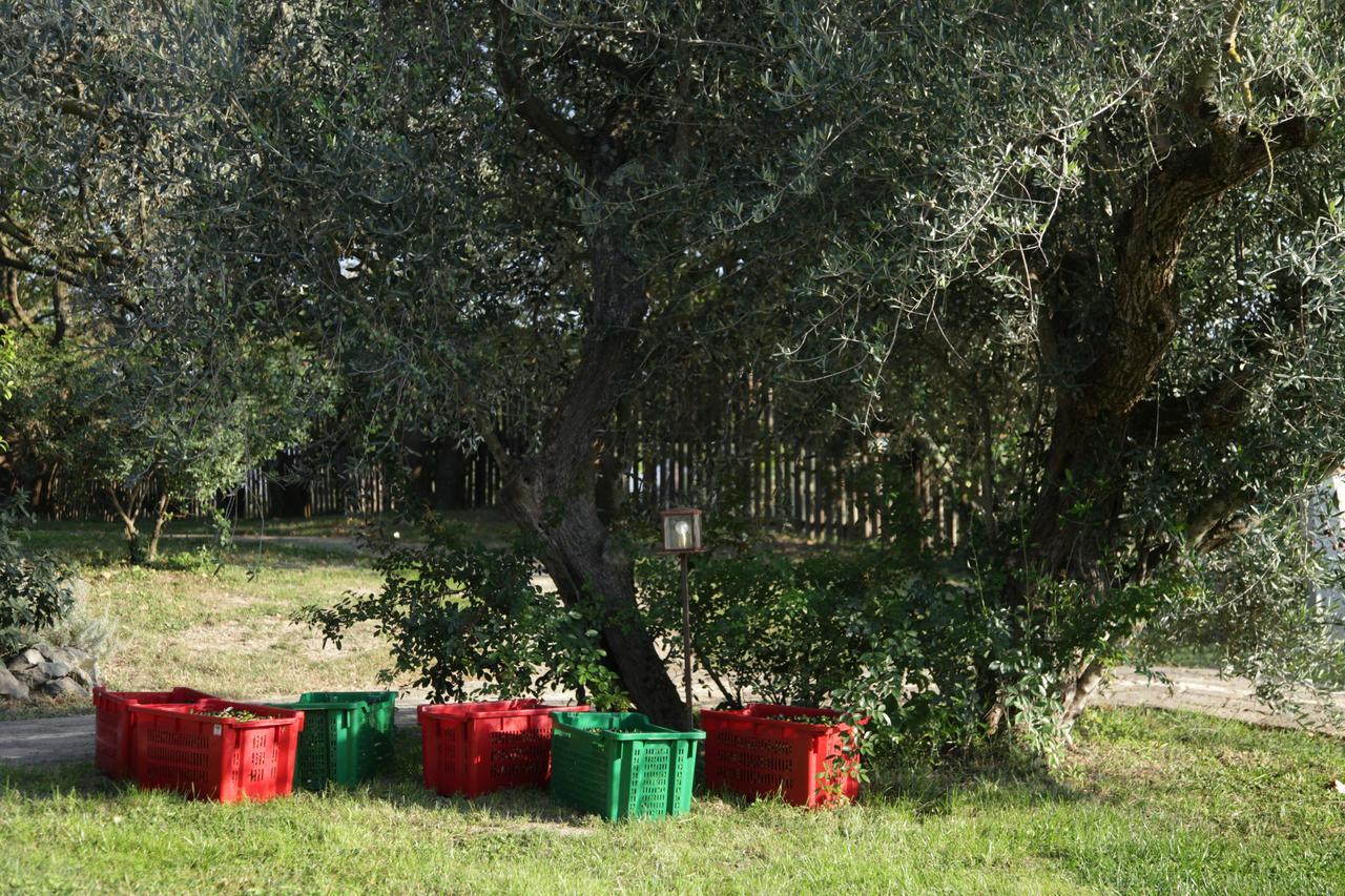 Madonnella Agricola Villa Cesano Esterno foto