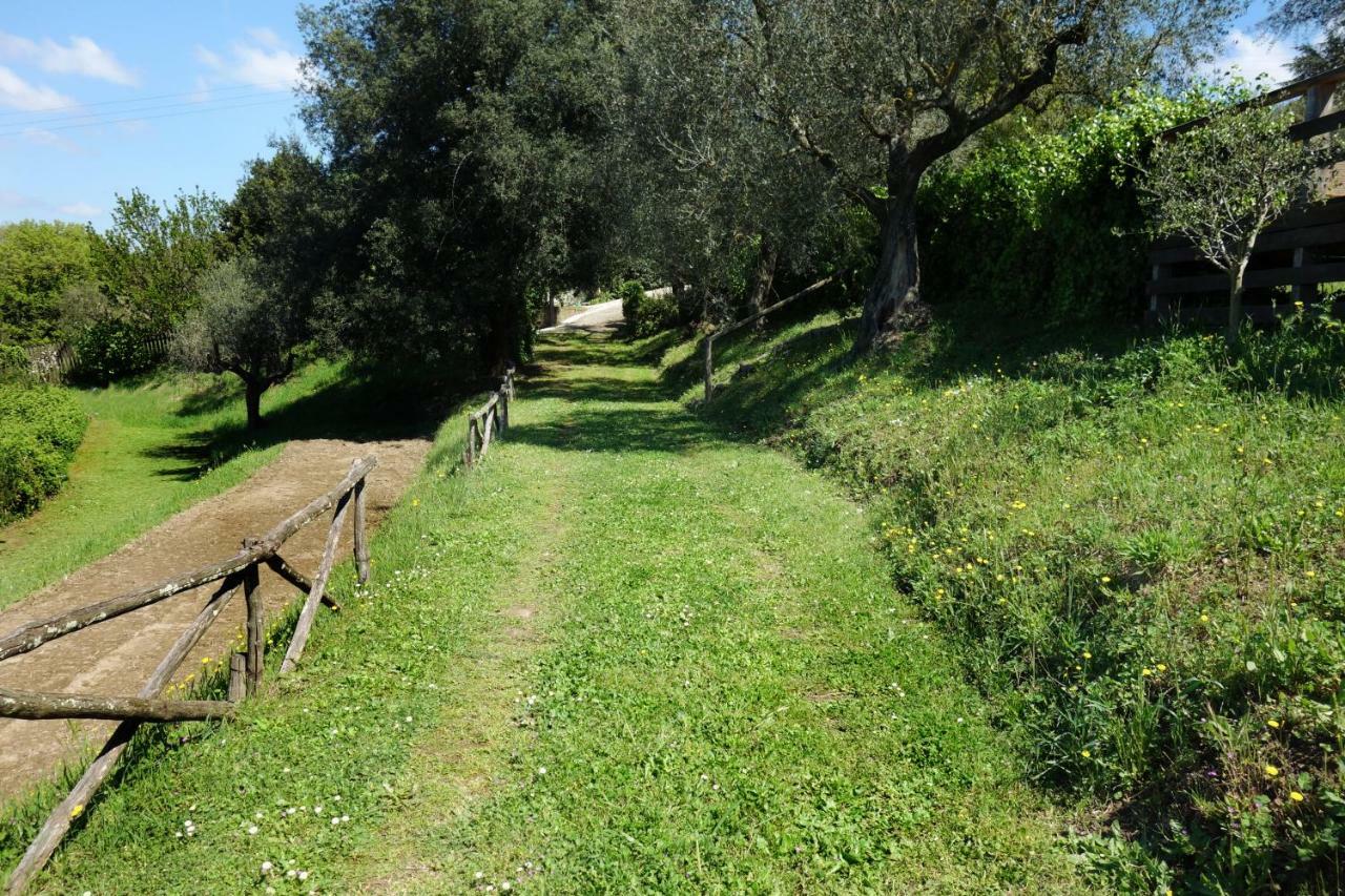 Madonnella Agricola Villa Cesano Esterno foto