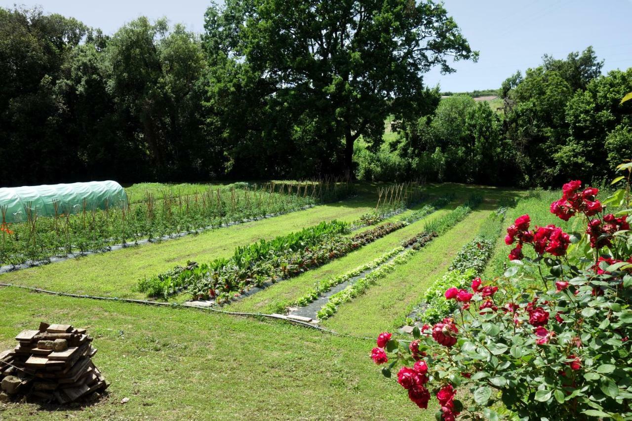 Madonnella Agricola Villa Cesano Esterno foto