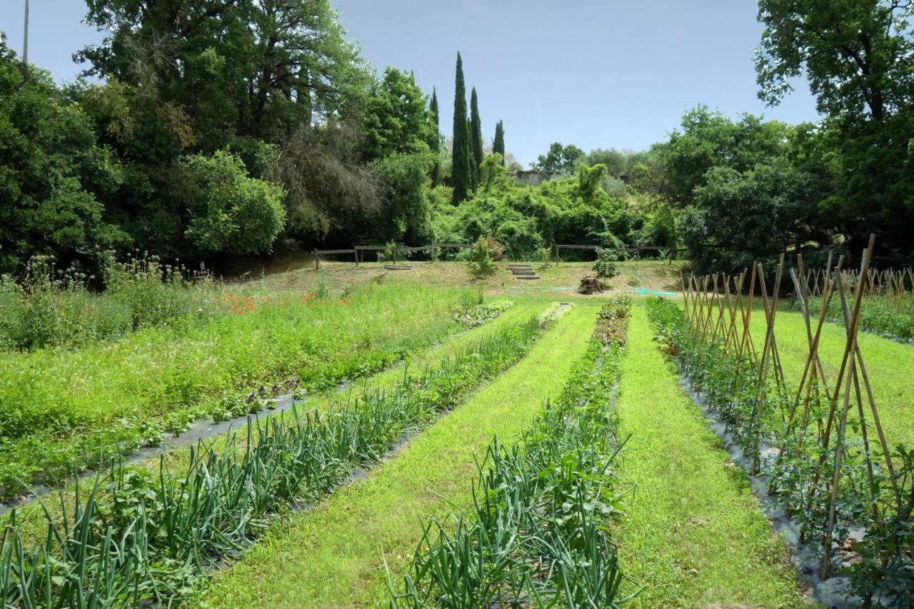 Madonnella Agricola Villa Cesano Esterno foto